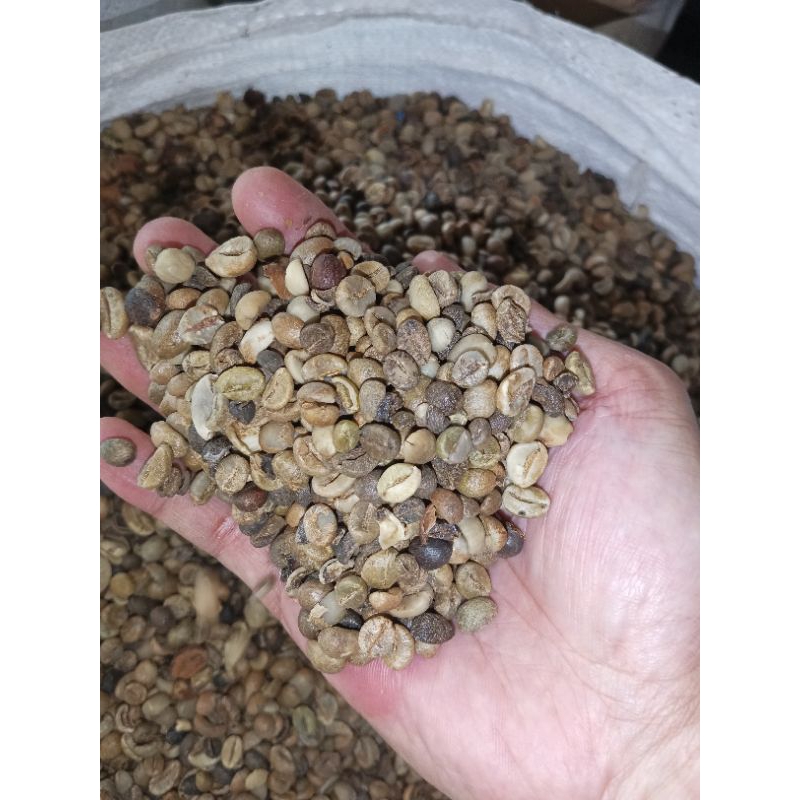 

Robusta Gayo Asalan (green bean) 1 kg