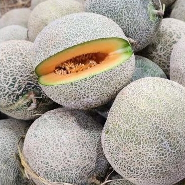 

Melon Oren oranye 1kg