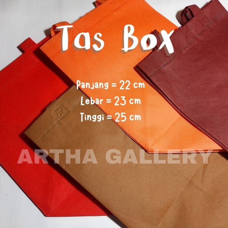 

1 Lusin (12 Pcs) Tas Box 22x22cm Tinggi 25cm / Tas Hajatan / Tas Spunbond / Goodie Bag / Tas Ramah Lingkungan