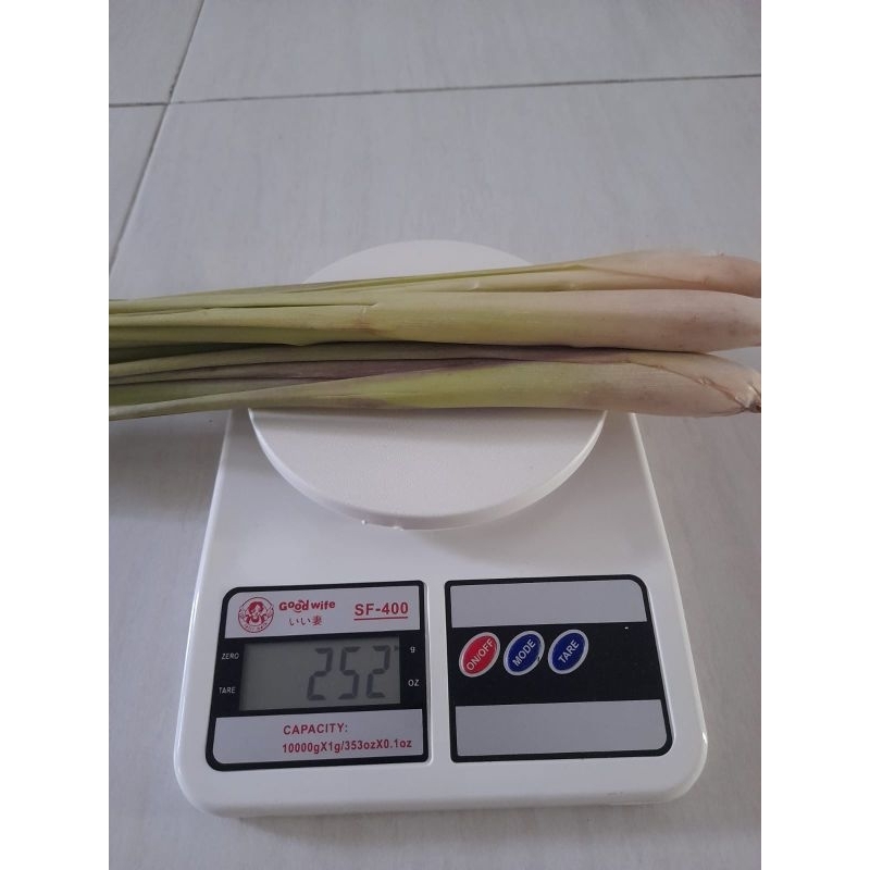 

SEREH SEGAR 250 g