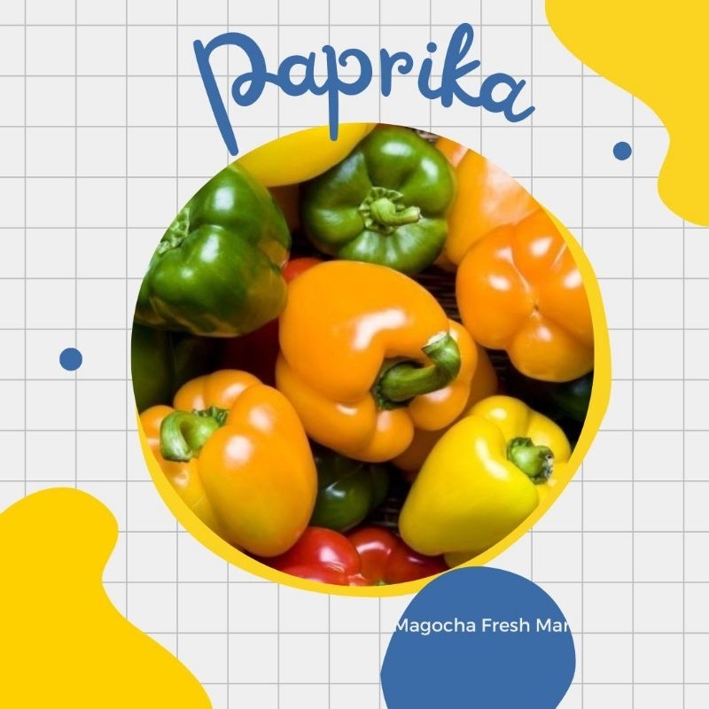 

Paprika Fresh / Paprika Merah/ Paprika Hijau / Paprika Kuning termurah