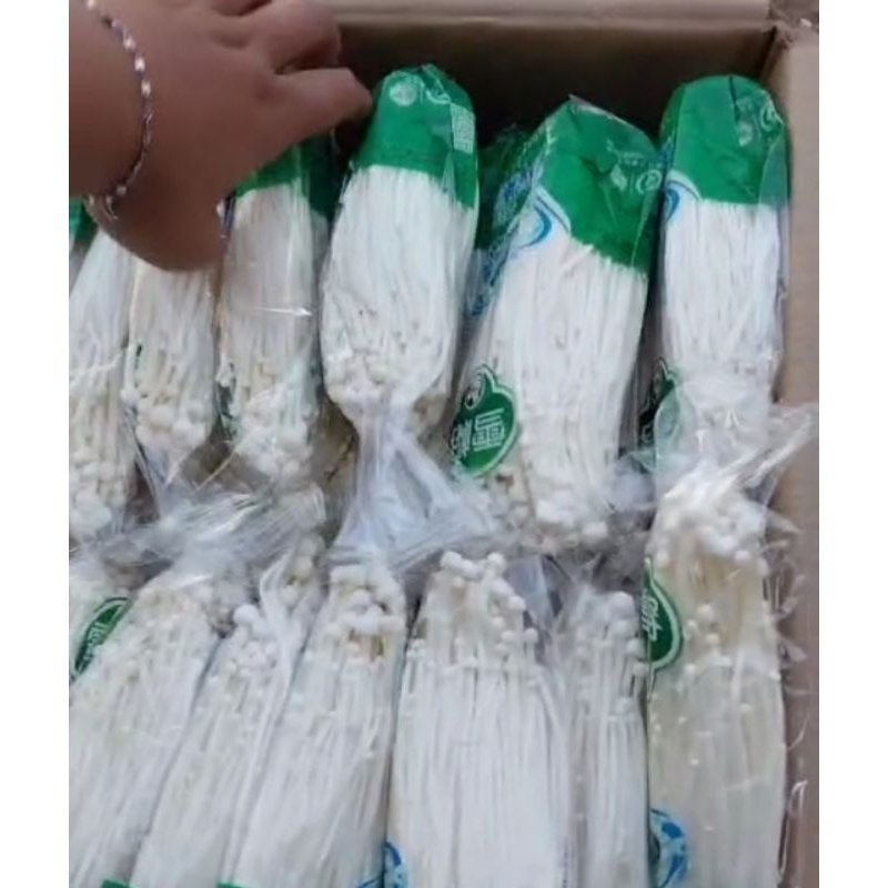 

jamur enoki