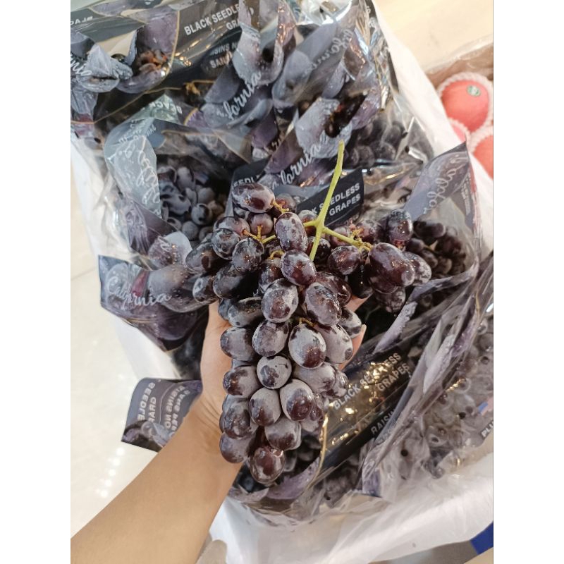 ANGGUR AUTUMN AUSTRALIA- ANGGUR IMPORT - SUKABUAH