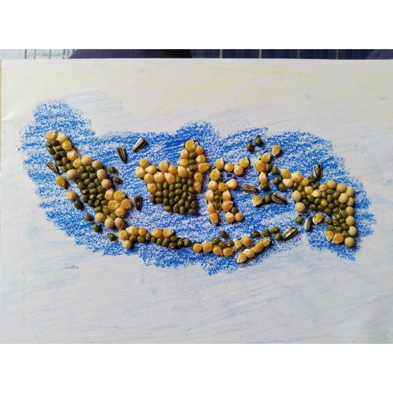 Kolase biji bijian peta prakarya