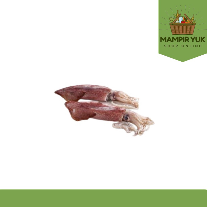 

Ikan cumi basah jumbo 1kg isi 2 | mampiryuk