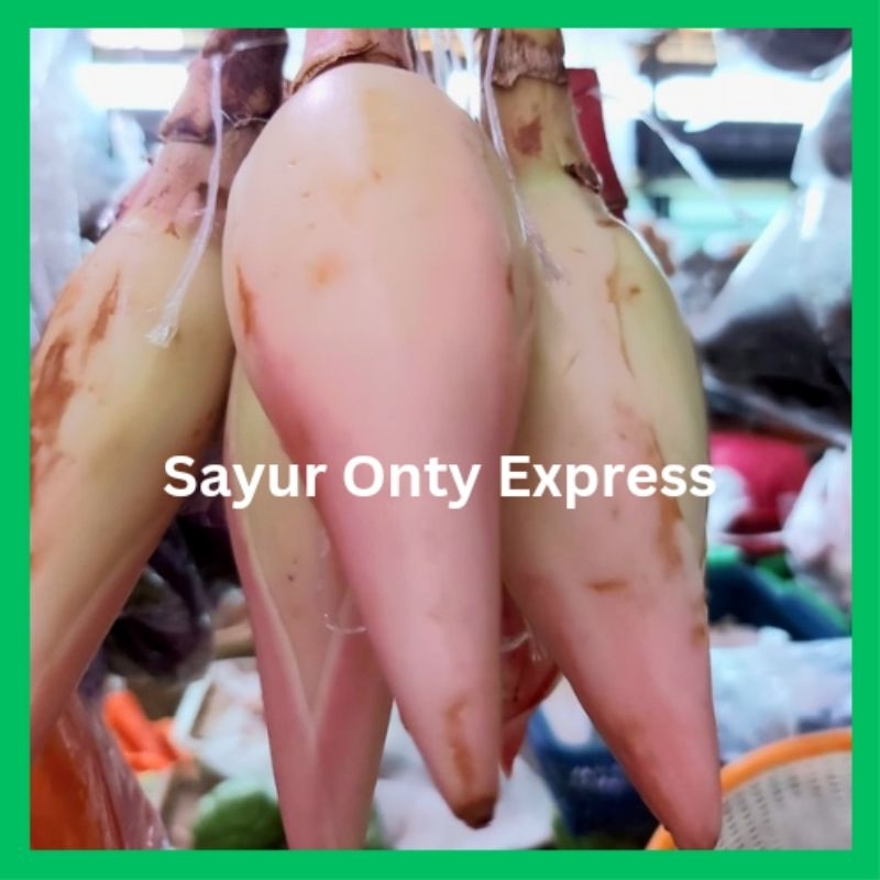 

Kecombrang Segar 1 biji sekitar 200 gram