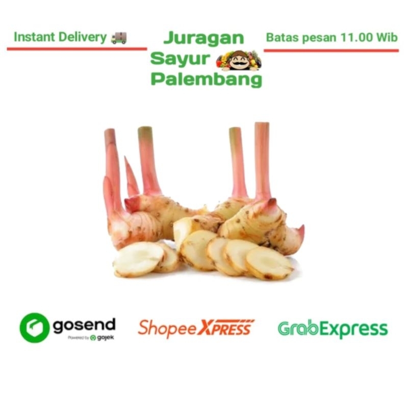 

Lengkuas 250 Gram - Juragan Sayur Palembang