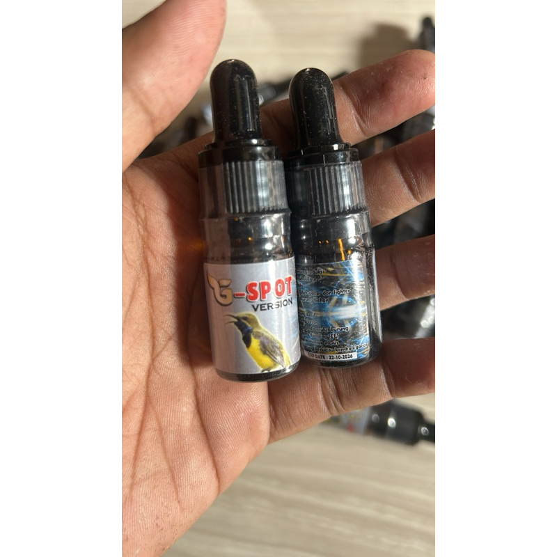 g spot penggacor segala macam burung macet