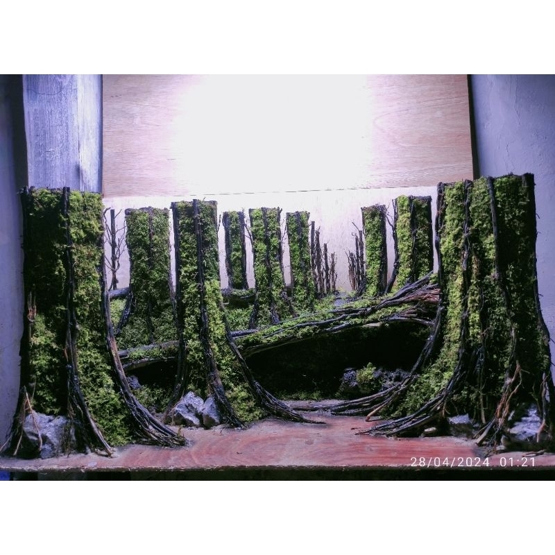 Hardscape jungle aquascape siap pakai buat tank P60. L35. T35. cm sudah diplanting mossjava