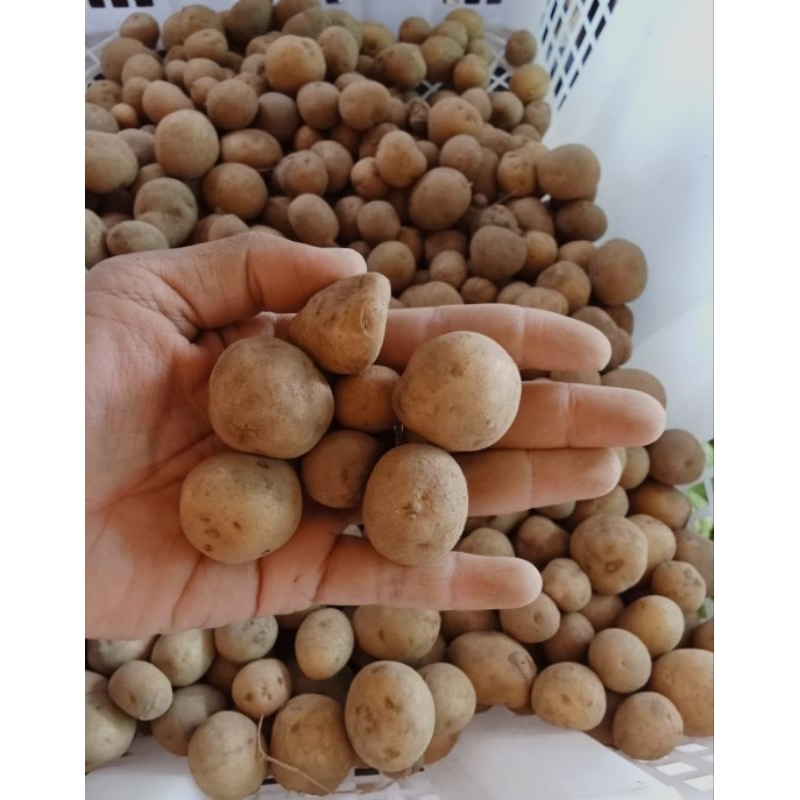 

baby potato/kentang rendang