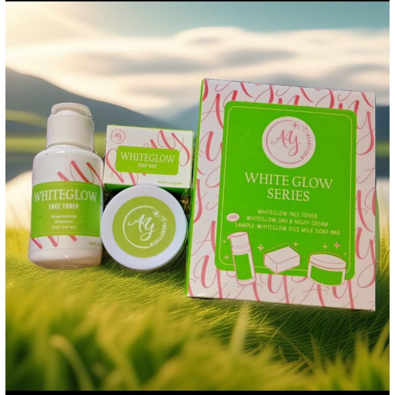 AyBskin paket basic 12 paket