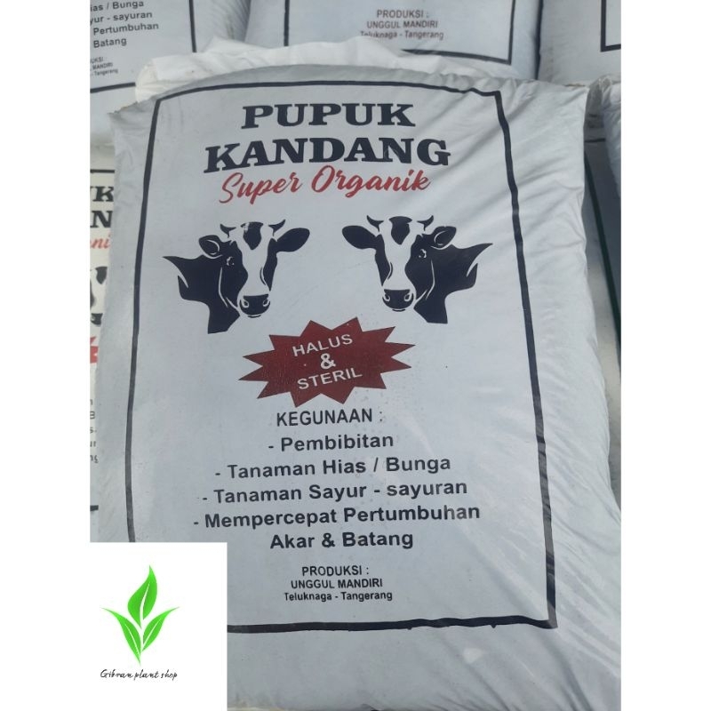 pupuk kandang sapi