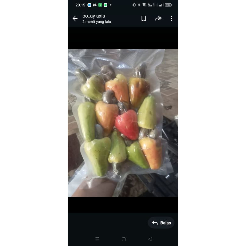 

jambu mede / jambu monyet 500gr