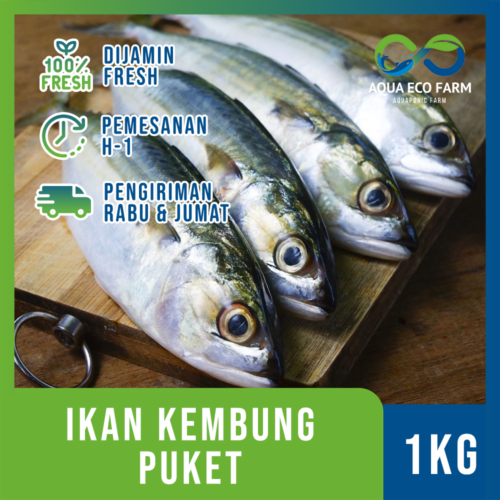 

Ikan Kembung Puket 100% Fresh 1kg by AquaEcoFarm Bandung