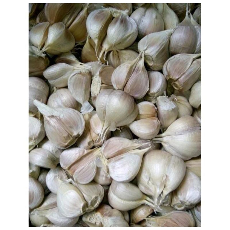 

Bawang kating/250gr