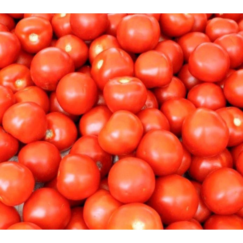 

Tomat/500gr