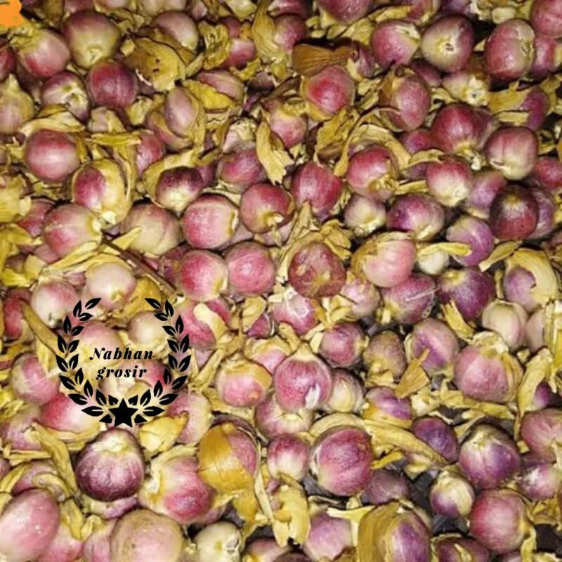 

1 KG KAPULAGA BASAH KAYA MANFAAT