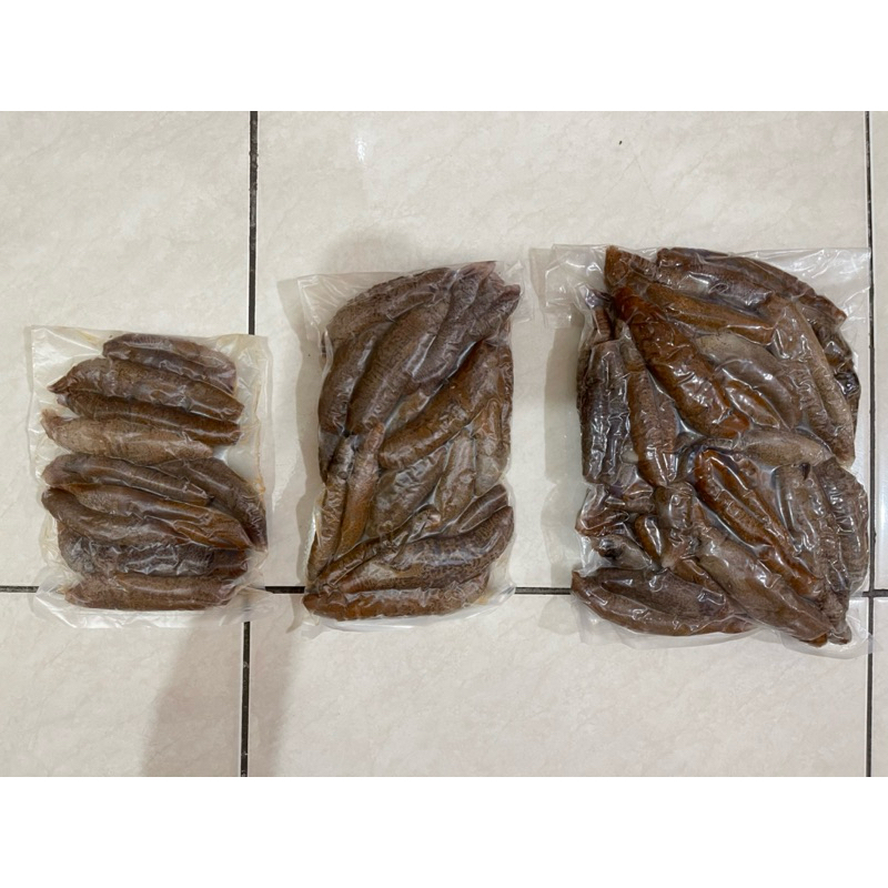 

Teripang / Haisom / Hoisem Blonyo FROZEN pack 250gr 500gr 1kg sudah bersih tinggal dimasak