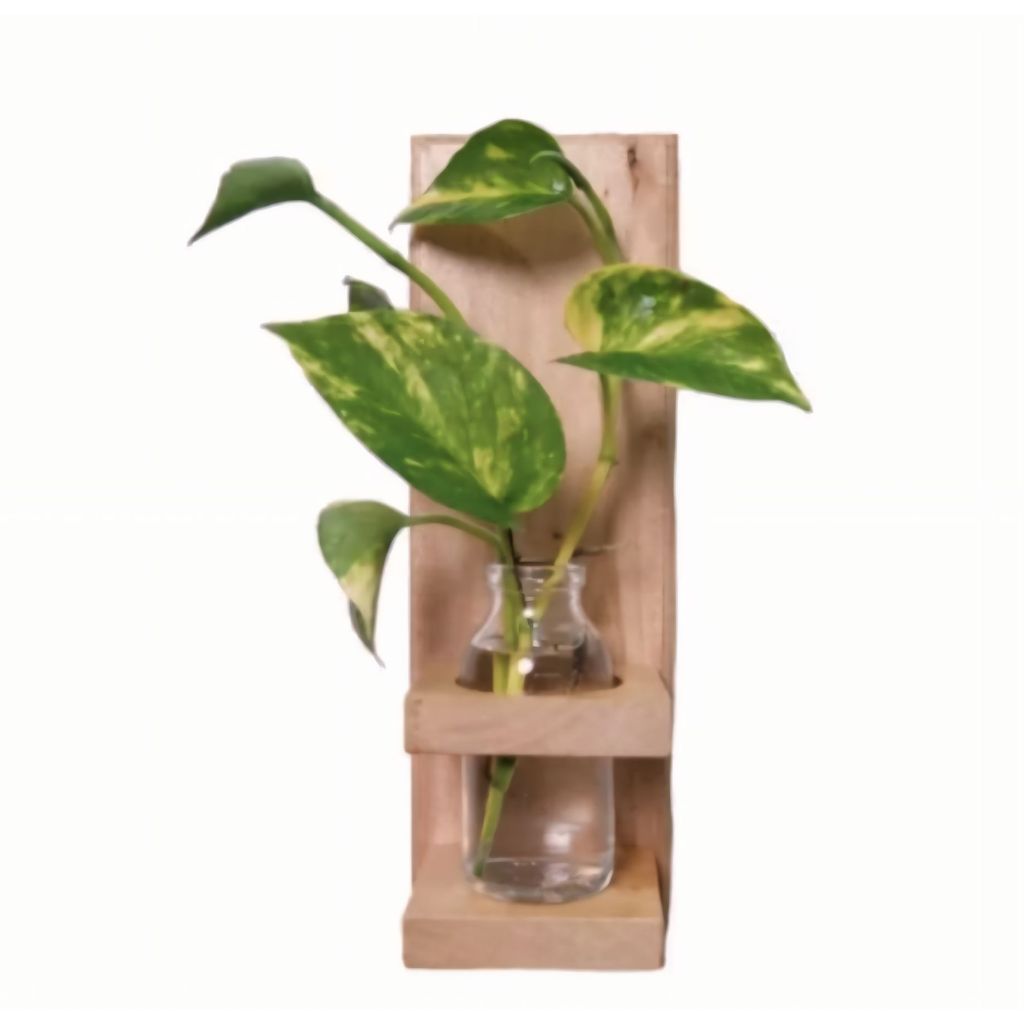 GANTUNGAN BUNGA BOTOL AESTHETIC | BUNGA KACA BOTOL | VAS BUNGA AESTHETIC