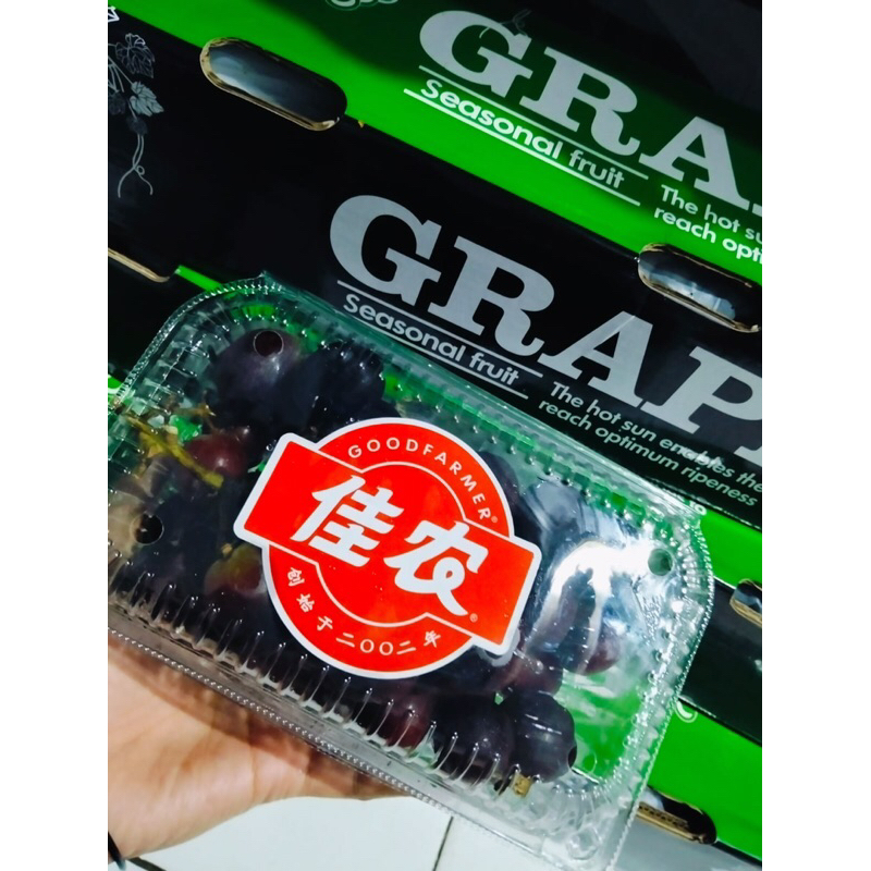 

Anggur Muscat Hitam tanpa biji 500gr/Pack