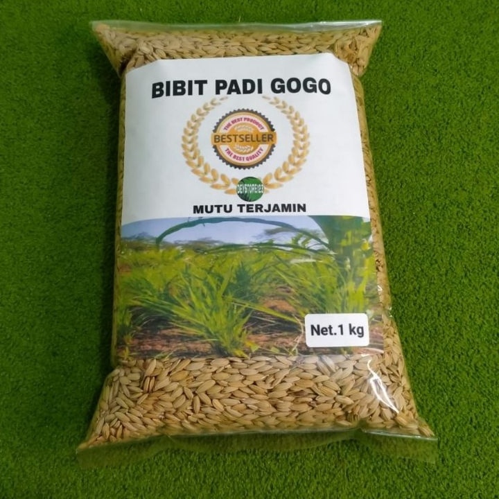 Bibit BENIH PADI GOGO KEMASAN 1 KG