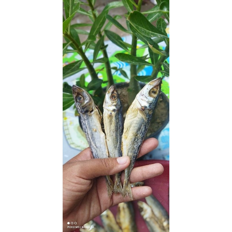 

Ikan asin CAMPUR terlaris dan termurah PROMO 1kg