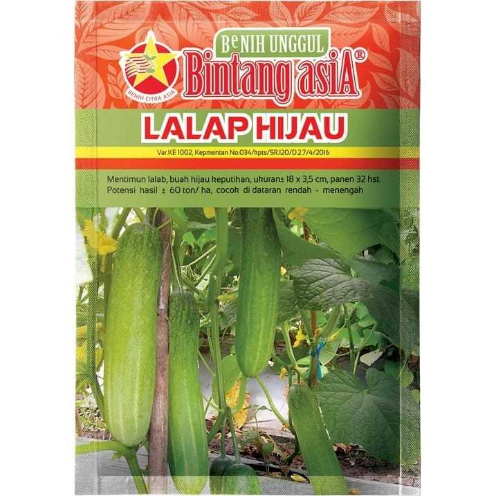 Benih Mentimun Timun LALAP HIJAU 20 Gram Cap Bintang Asia PT Benih Citra Asia Warna Hijau Keputihan