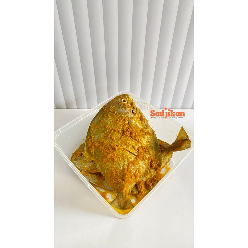 

KIRIM INSTAN Ikan Bawal Putih Marinasi 500gr Siap Goreng