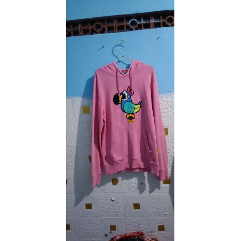 HODDIE PANCOAT PARROT