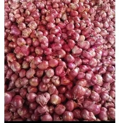 

PROMO BAWANG MERAH TANGGUNG LOKAL TULUNGAGUNG 500G