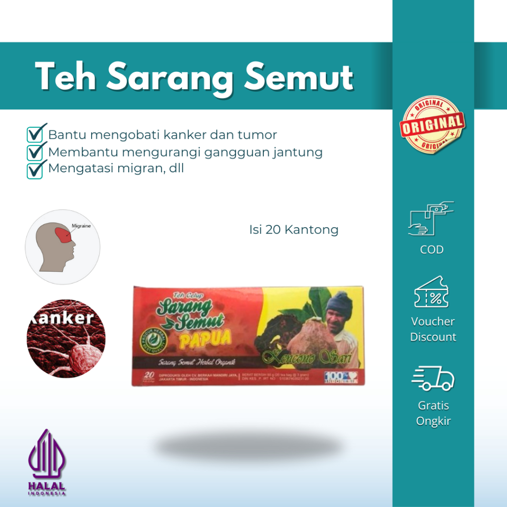 

Teh Celup Sarang Semut Papua Kencono Sari Asli Original 100%