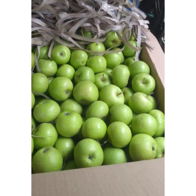 

(PROMO LANGSUNG PETANI) APEL MANALAGI besar-tanggung 1KG