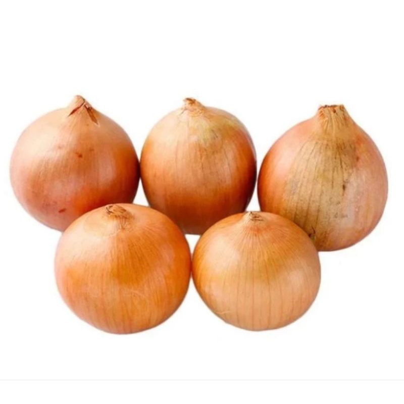 

Bawang Bombay segar untuk bumbu rempah masakan anda