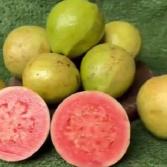 

BUAH JAMBU MERAH FRESH 1 KG/ JAMBU MERAH MANIS SUPER/JAMBU MERAH BIJI/GUAVA