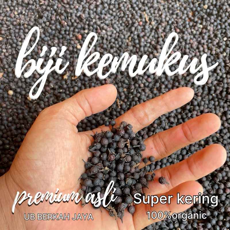 

Herbal Biji Kemukus kering 100 gr
