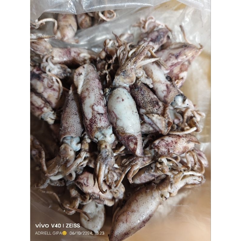 

Cumi Asin 250gr