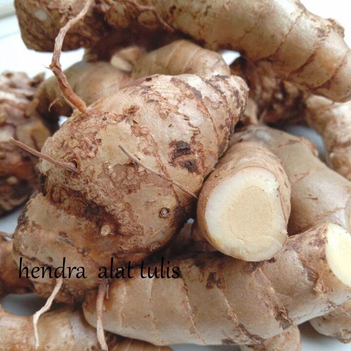 

Kunyit putih segar 1kg (temu putih/curcuma zedoaria) fres
