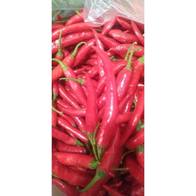

Cabe besar super