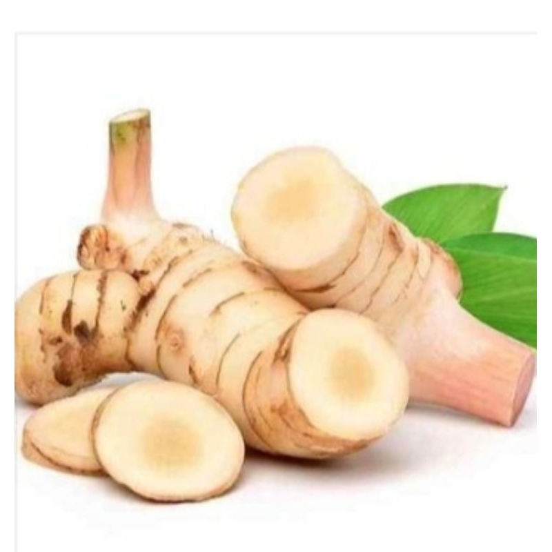 

lengkuas / pasar online karuwisi