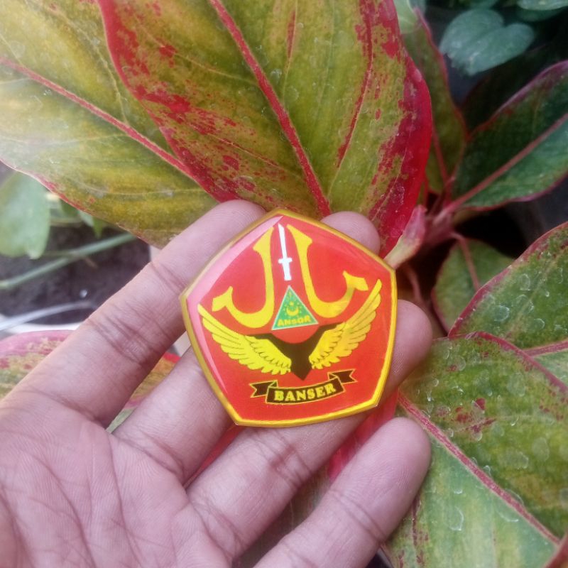 PIN Resin Logo Banser II LOGO 5 CM