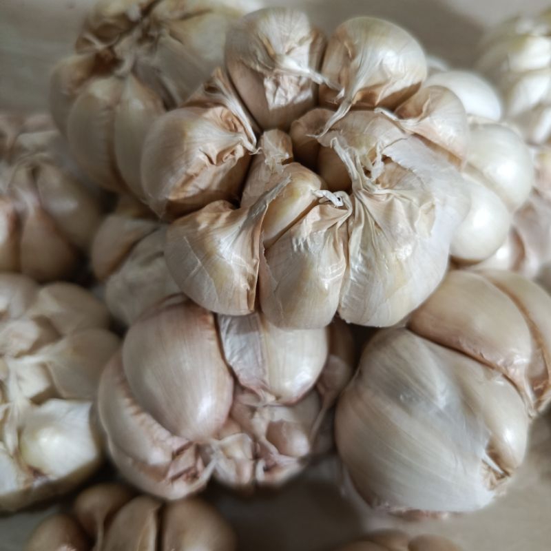 

Bawang putih super murah 1000g