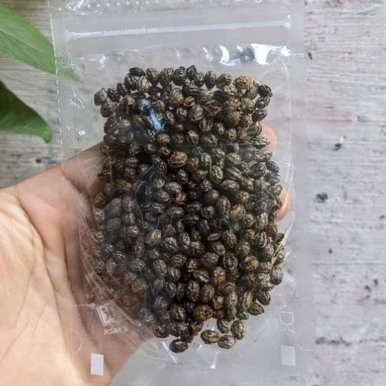 

Biji Pepaya Kering / Dried Pepaya Seeds 250 Gram