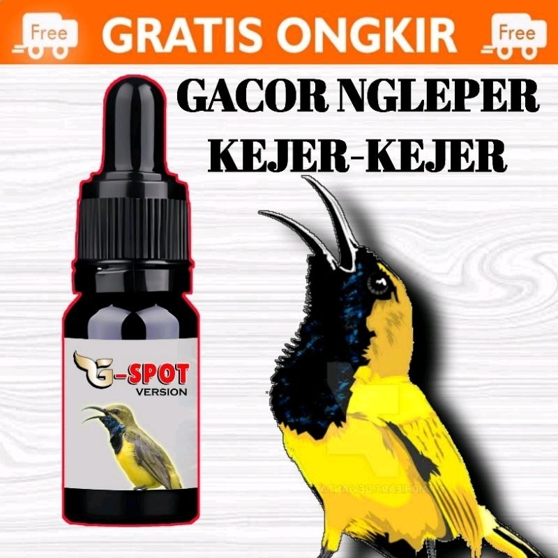 G-SPOT | GSPOT G SPOT VITAMIN SUPLEMEN PENGGACOR BURUNG