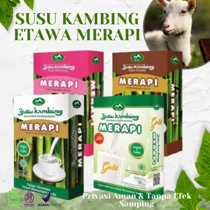 

Susu kambing etawa bubuk untuk tulang kemasan 200 gr 1kg premium dari herbal indo utama