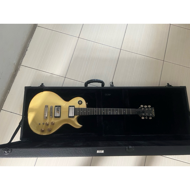 Gitar Elektrik Dean Zelinsky-Strettavita Private Label