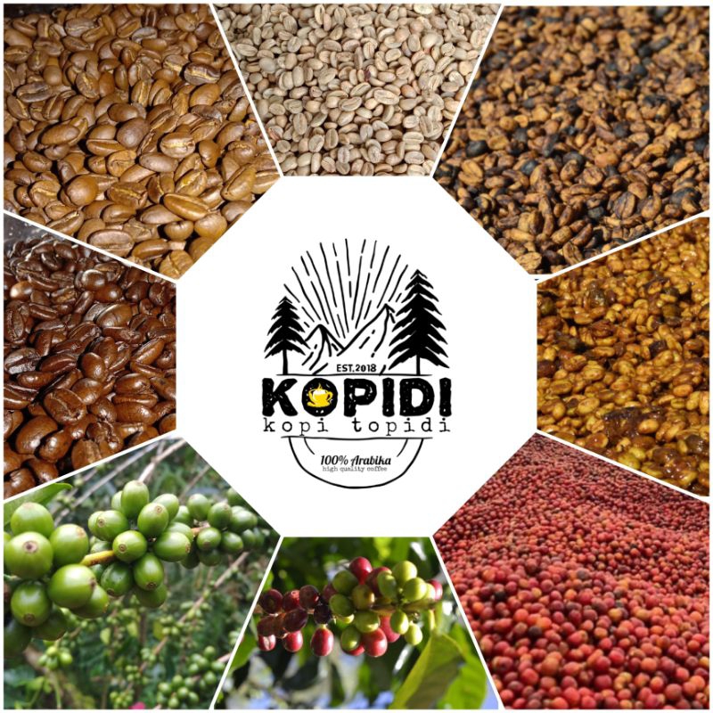 

Gowa Topidi Typica Washed 250gr (Biji Kopi Specialty Arabika) - Biji
