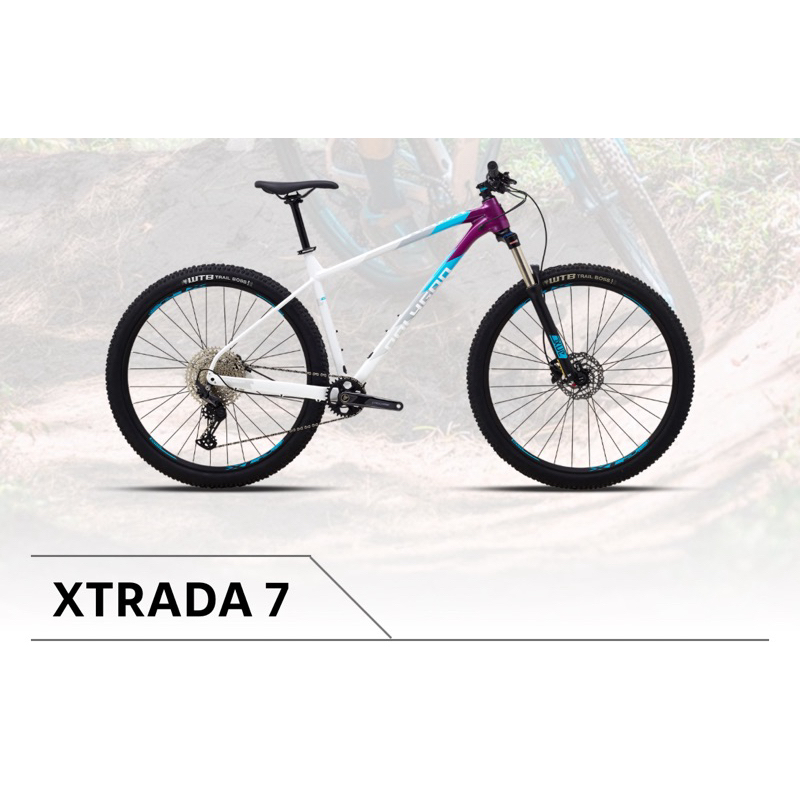 Polygon Xtrada 7 2022