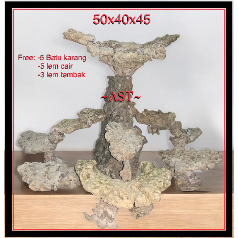 SCAPING / HARDSCAPE DEAD ROCK #scaping WAJIB PAKAI EXSTRA PACKING KAYU>ada di etalase