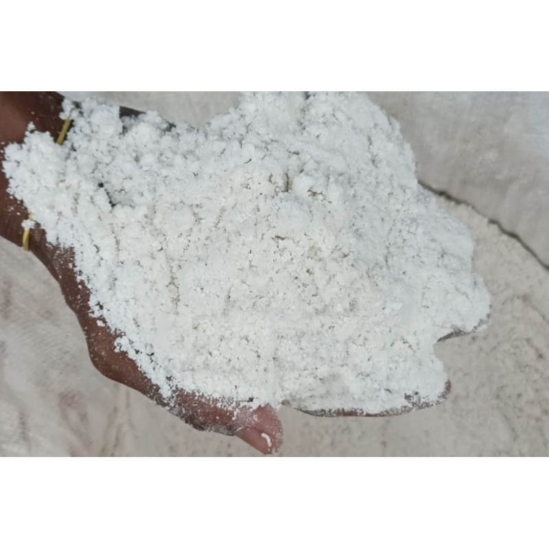 

SAGU KHAS LUWU/WOTU/PALOPO