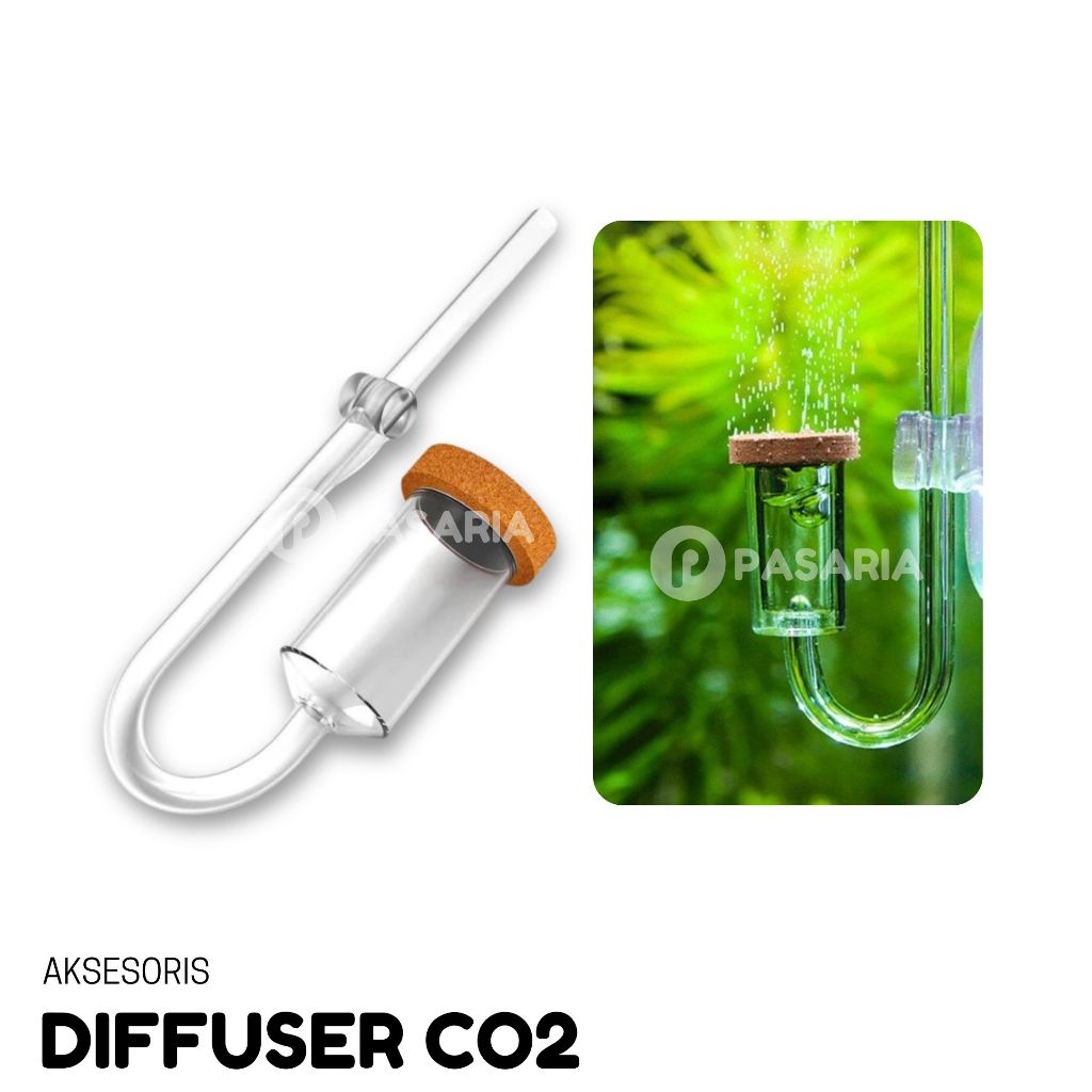 DIFFUSER Co2 Aquascape Mini Aerator Gelembung Oksigen Aquarium